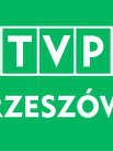 Stopy mówią wszystko - festiwalowe warsztaty językowe - Zdjęcie nr 21